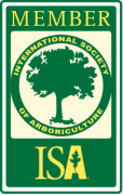 isa-member-1